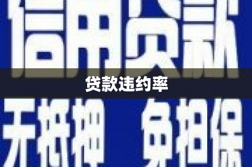 金湖贷款违约率