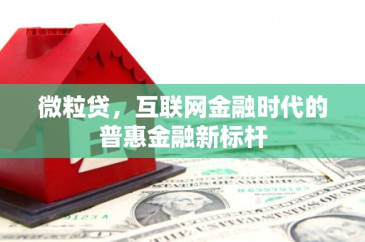 金湖微粒贷，互联网金融时代的普惠金融新标杆