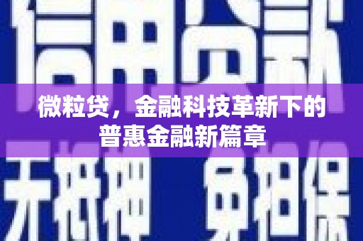 金湖微粒贷，金融科技革新下的普惠金融新篇章