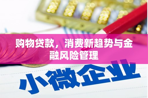 金湖购物贷款，消费新趋势与金融风险管理
