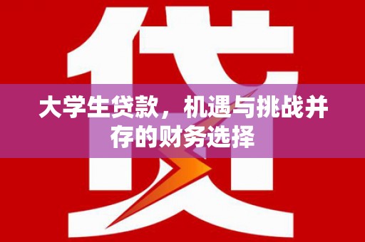 金湖大学生贷款，机遇与挑战并存的财务选择