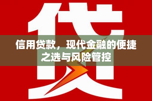 金湖信用贷款，现代金融的便捷之选与风险管控