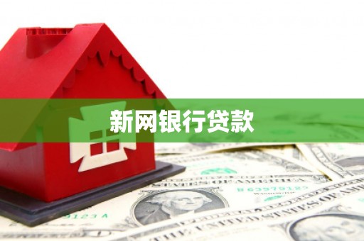 金湖新网银行贷款
