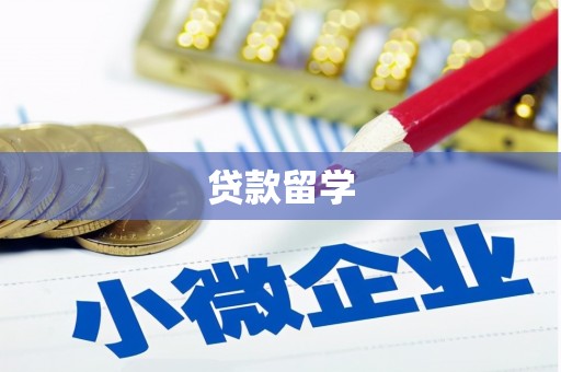 金湖贷款留学