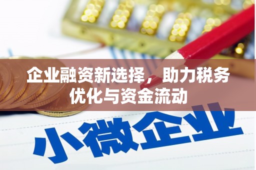 金湖企业融资新选择，助力税务优化与资金流动