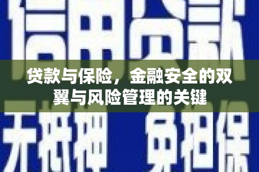 金湖贷款与保险，金融安全的双翼与风险管理的关键