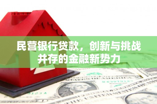 金湖民营银行贷款，创新与挑战并存的金融新势力