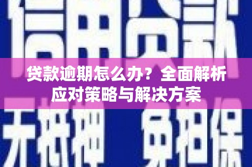 金湖贷款逾期怎么办？全面解析应对策略与解决方案