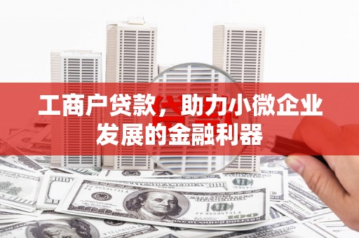 金湖工商户贷款,助力小微企业发展的金融利器 金湖工商户贷款,助力小微企业发展的金融利器