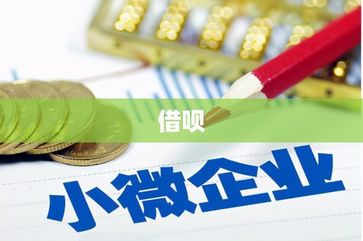 金湖借呗