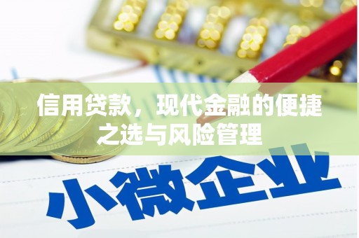 金湖信用贷款，现代金融的便捷之选与风险管理