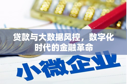 金湖贷款与大数据风控，数字化时代的金融革命