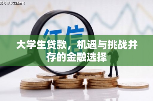金湖大学生贷款，机遇与挑战并存的金融选择