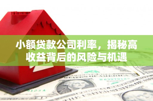 金湖小额贷款公司利率，揭秘高收益背后的风险与机遇