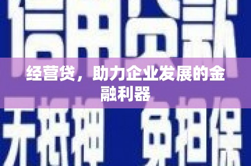 金湖经营贷，助力企业发展的金融利器