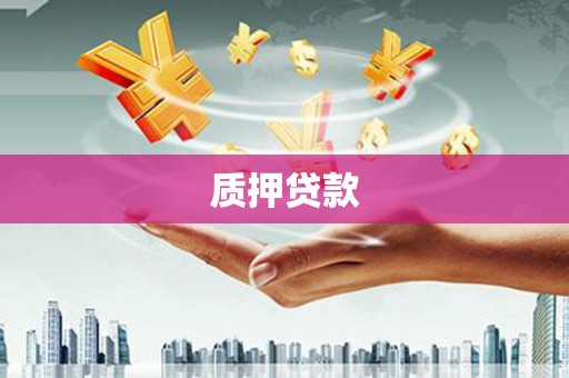 金湖质押贷款