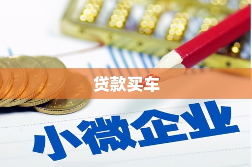 金湖贷款买车