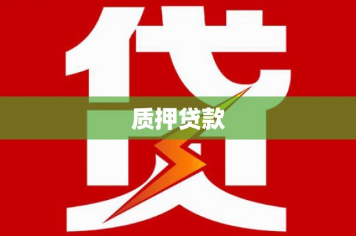 金湖质押贷款