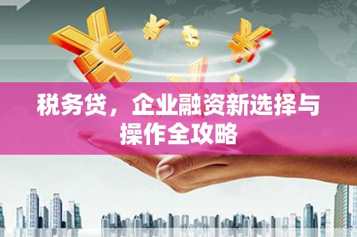 金湖税务贷，企业融资新选择与操作全攻略