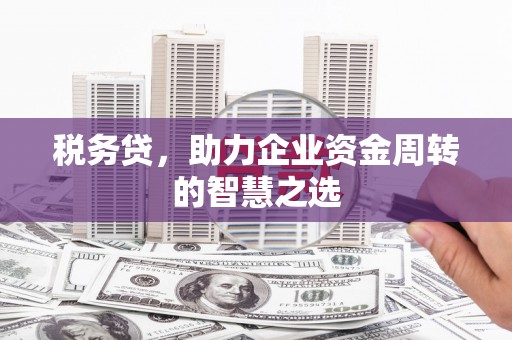 金湖税务贷，助力企业资金周转的智慧之选