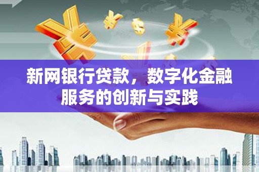 金湖新网银行贷款，数字化金融服务的创新与实践