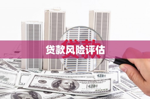 金湖贷款风险评估