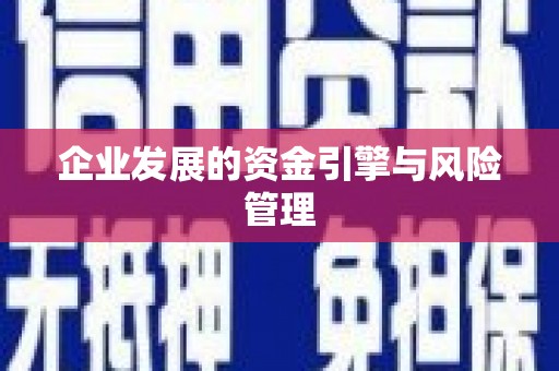 金湖企业发展的资金引擎与风险管理
