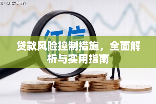 金湖贷款风险控制措施，全面解析与实用指南