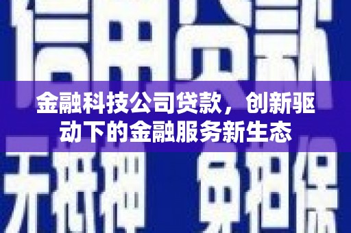 金湖金融科技公司贷款，创新驱动下的金融服务新生态