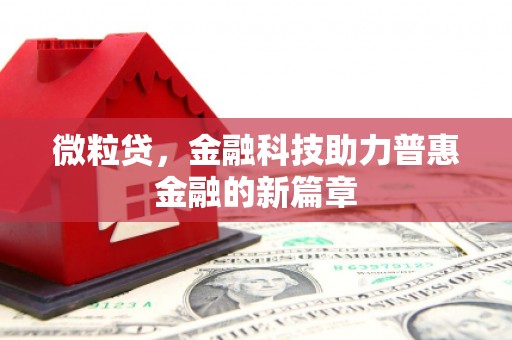 金湖微粒贷，金融科技助力普惠金融的新篇章