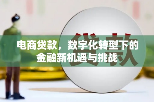 金湖电商贷款，数字化转型下的金融新机遇与挑战