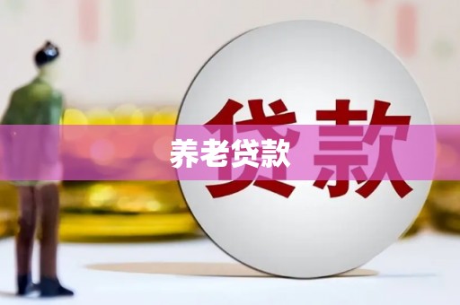 金湖养老贷款