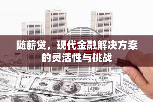 金湖随薪贷，现代金融解决方案的灵活性与挑战