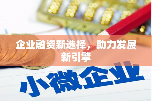 金湖企业融资新选择，助力发展新引擎