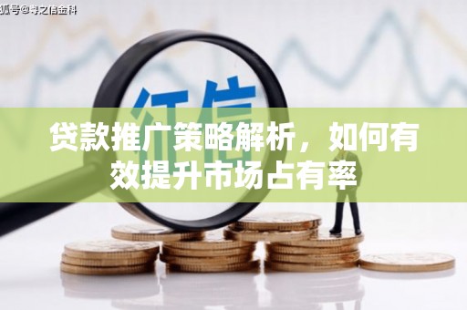金湖贷款推广策略解析，如何有效提升市场占有率