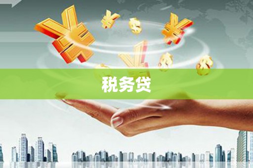 金湖税务贷