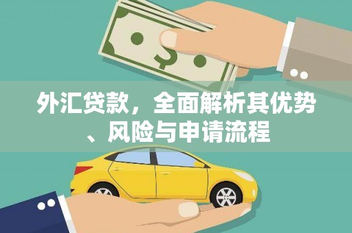 金湖外汇贷款，全面解析其优势、风险与申请流程