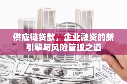 金湖供应链贷款，企业融资的新引擎与风险管理之道