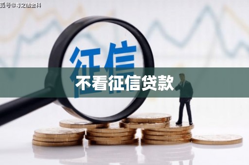 金湖不看征信贷款