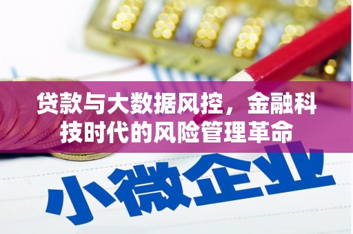 金湖贷款与大数据风控，金融科技时代的风险管理革命