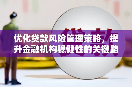 金湖优化贷款风险管理策略，提升金融机构稳健性的关键路径