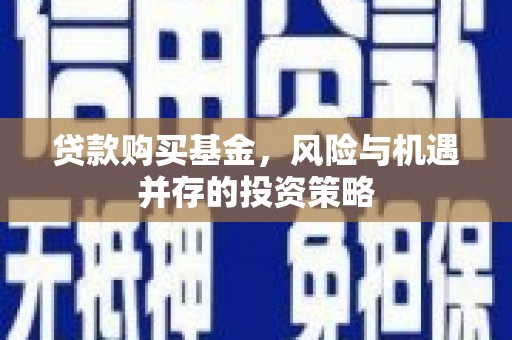 金湖贷款购买基金，风险与机遇并存的投资策略