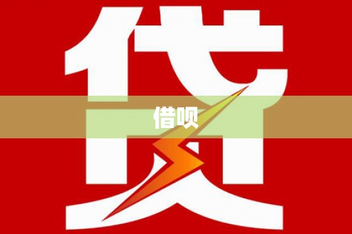 金湖借呗