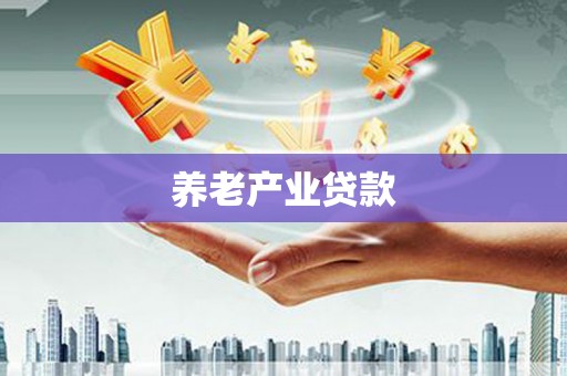 金湖养老产业贷款