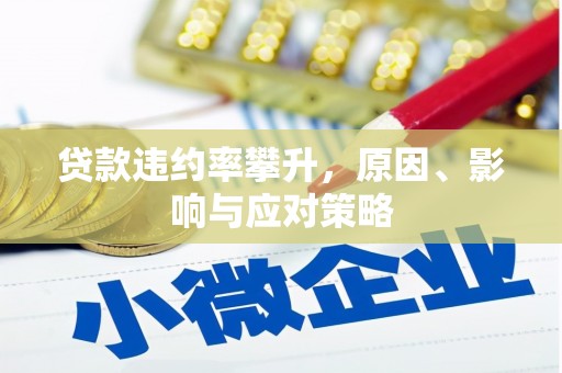 金湖贷款违约率攀升，原因、影响与应对策略