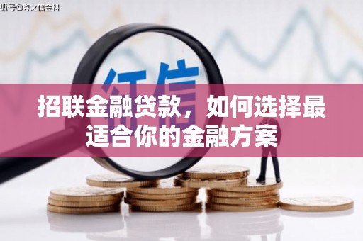 金湖招联金融贷款，如何选择最适合你的金融方案