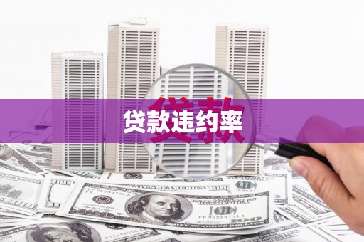 金湖贷款违约率