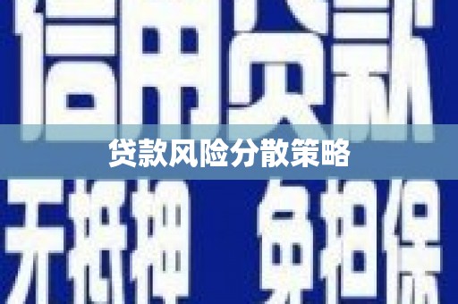 金湖贷款风险分散策略