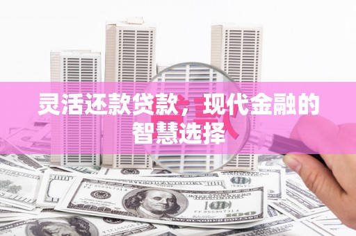 金湖灵活还款贷款，现代金融的智慧选择
