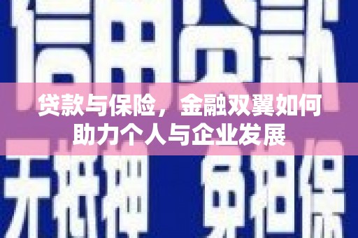 金湖贷款与保险，金融双翼如何助力个人与企业发展